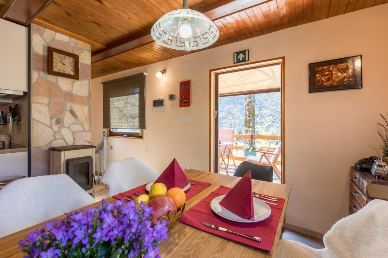 Vila Rozi, Osilnica - Vacation House Pr' Vili Rozi Exterior photo