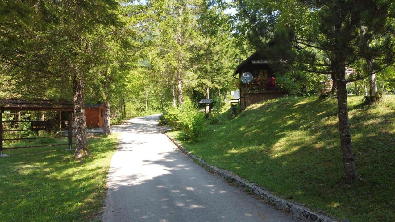 Vila Rozi, Osilnica - Vacation House Pr' Vili Rozi Exterior photo