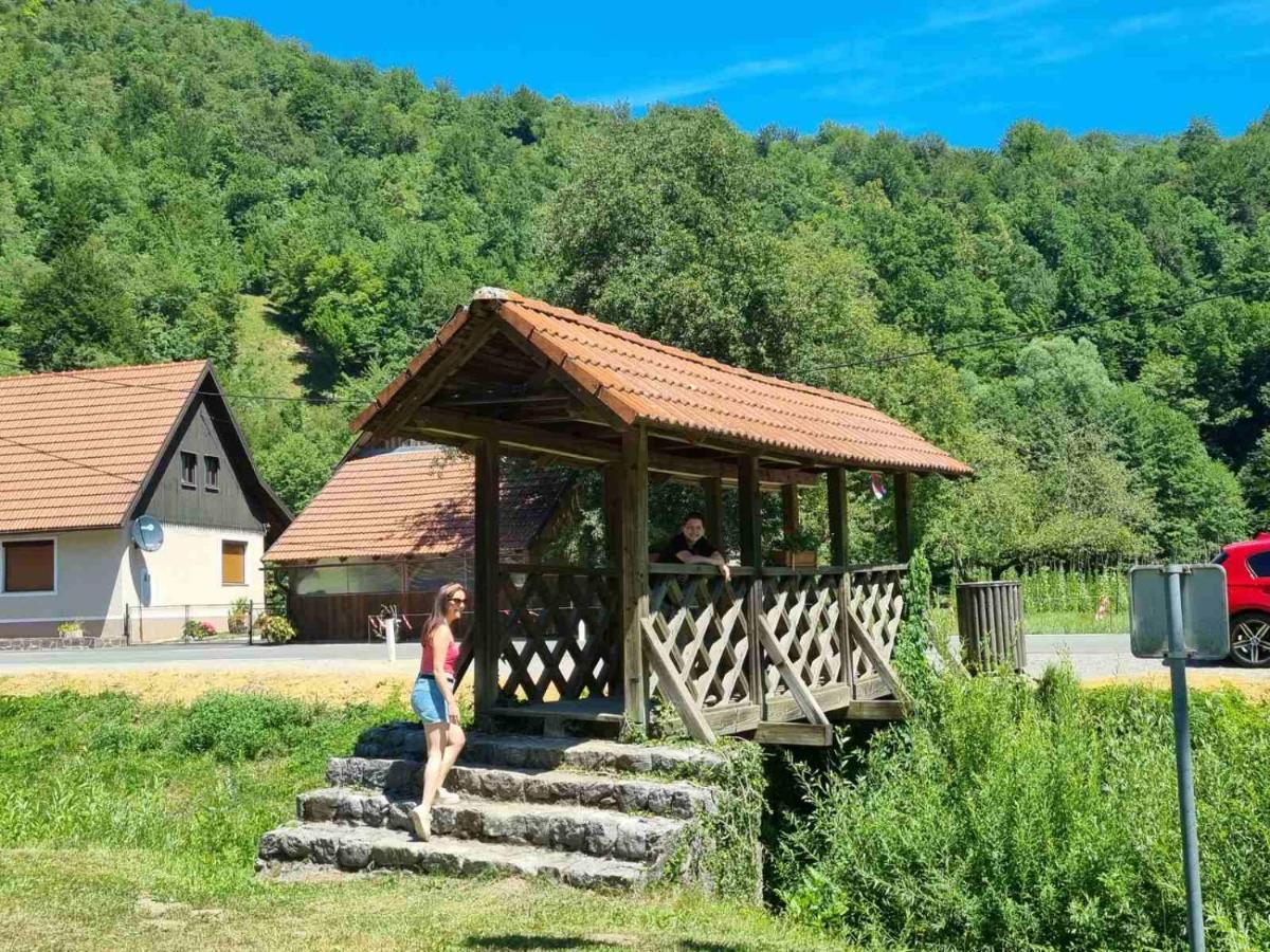 Vila Rozi, Osilnica - Vacation House Pr' Vili Rozi Exterior photo